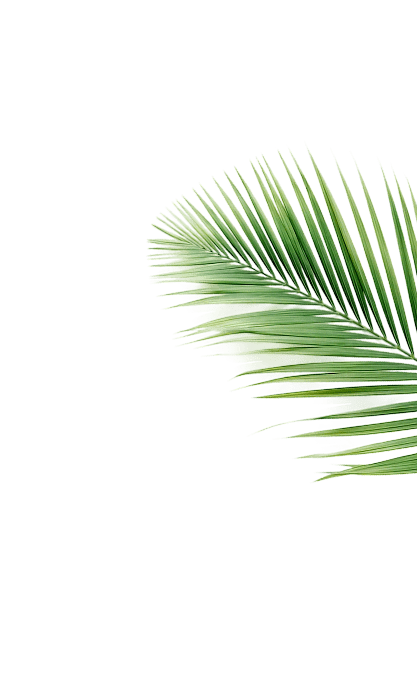 Wallaya Residence декор тропический лист