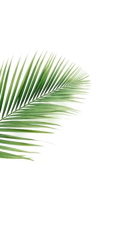 Wallaya Phuket тропический декоративный элемент